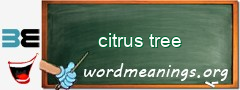 WordMeaning blackboard for citrus tree
